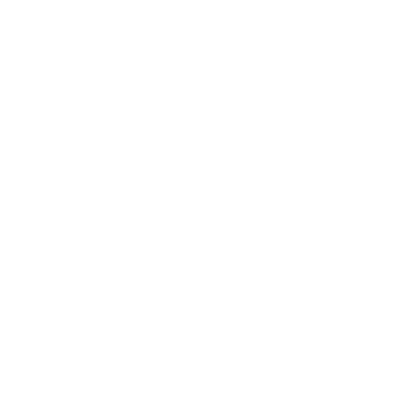 Logo Team BIG